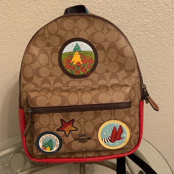 17.3 in laptop backpack